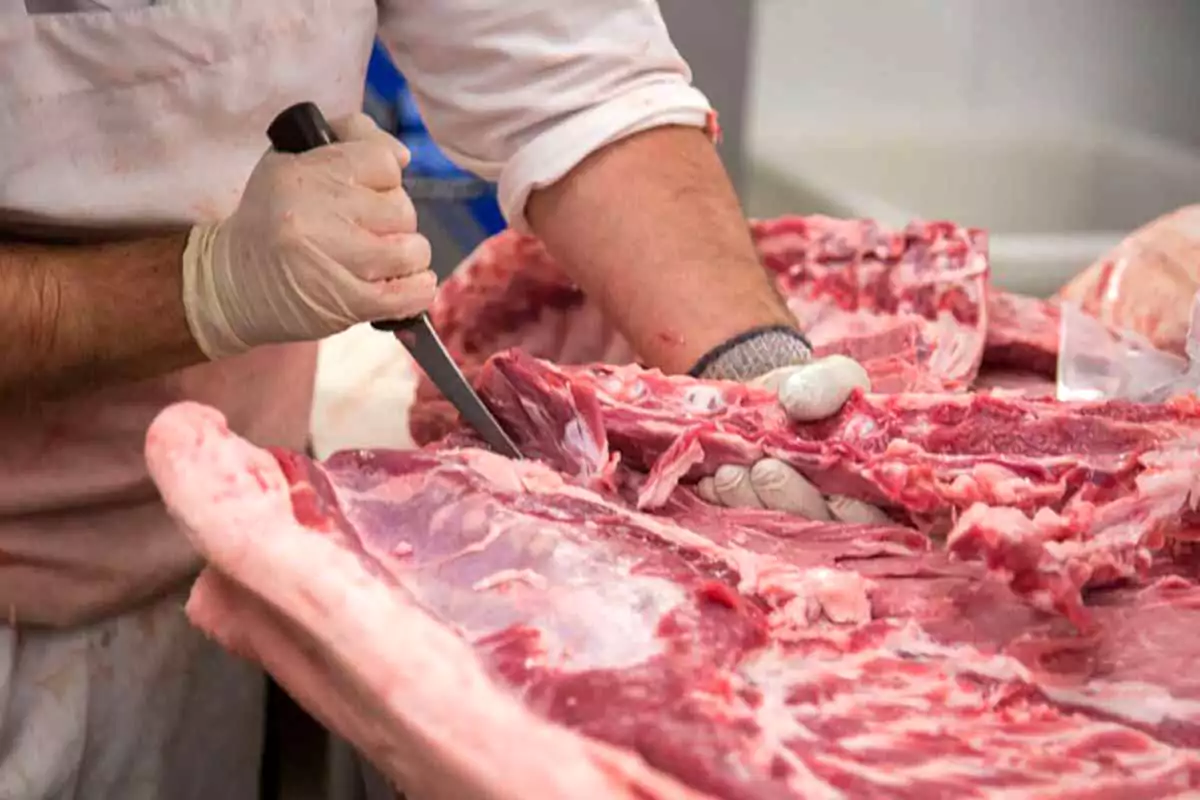 کاهش ۲ درصدی تولید گوشت قرمز در مهرماه