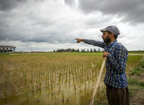 وعده‌های جدید دولت به کشاورزان