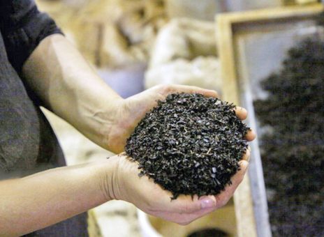 رد پای ۸ بانک در وام‌های کلان بانکی به شرکت دبش