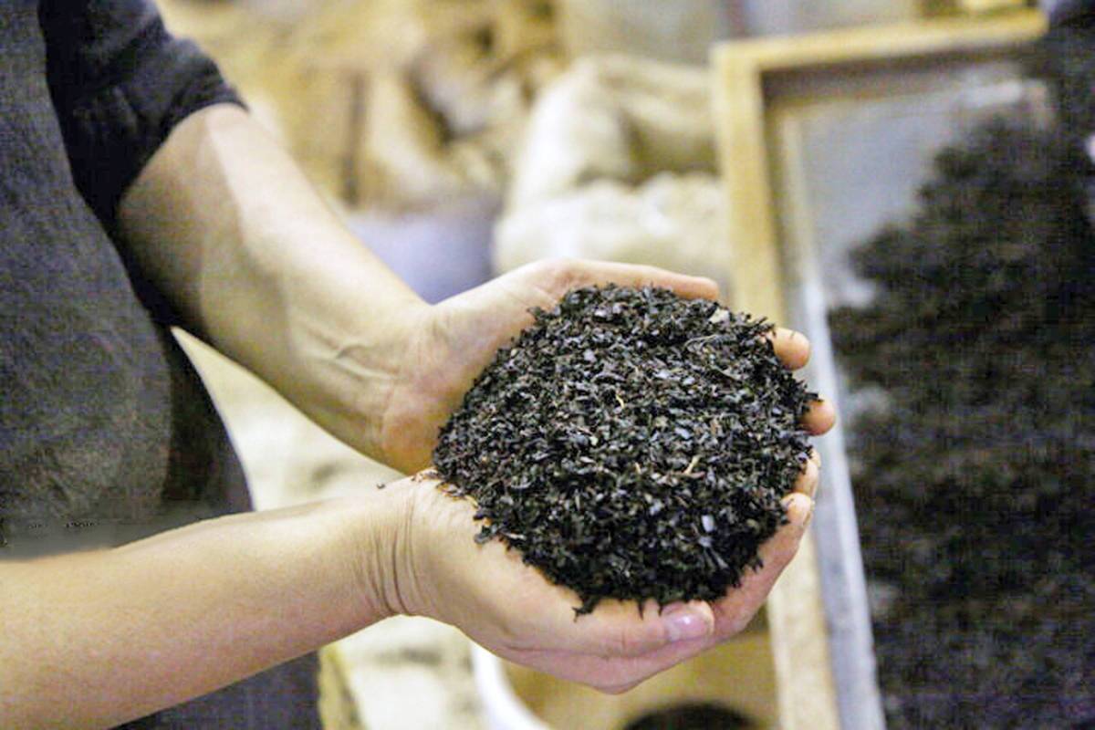 رد پای ۸ بانک در وام‌های کلان بانکی به شرکت دبش