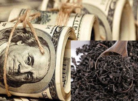 هشدار به مسئولین درباره فساد چای دبش