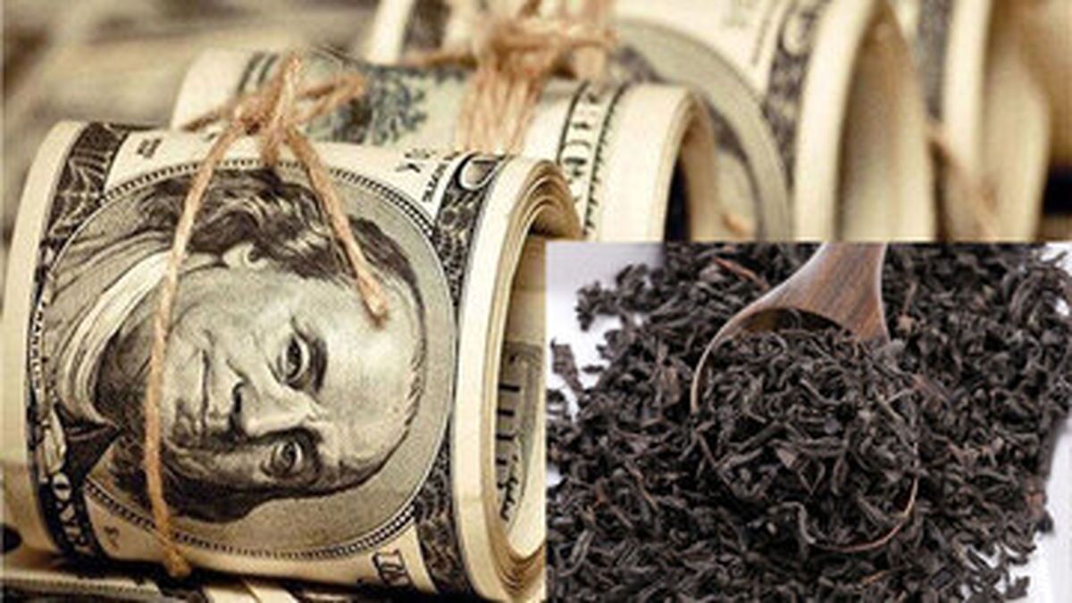 هشدار به مسئولین درباره فساد چای دبش