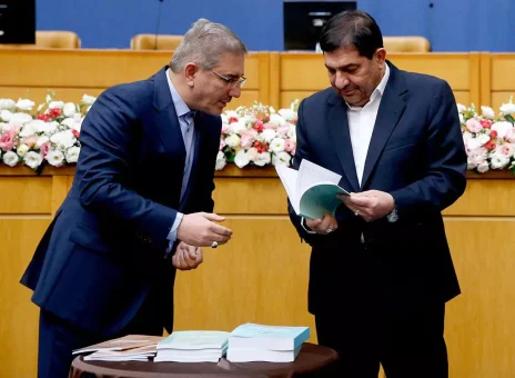 لایحه دولت، بیشتر نمایشی است تا اجرایی