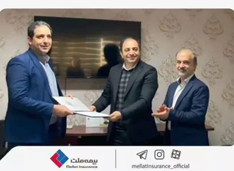 سرپرست مدیریت بازاریابی بیمه ملت منصوب شد