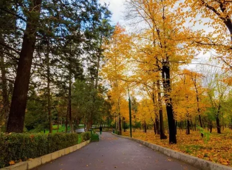 تصاویری زیبا از پاییزی شدن پارک ملت