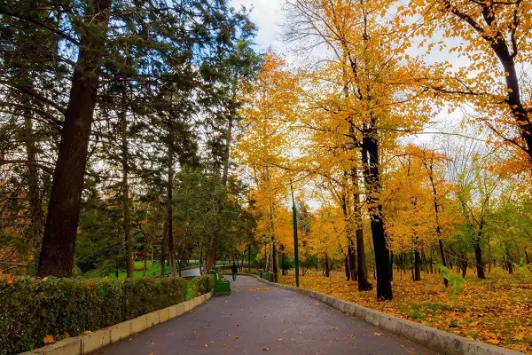 تصاویری زیبا از پاییزی شدن پارک ملت
