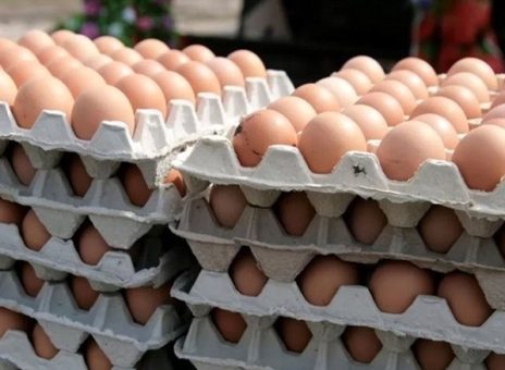 قیمت تخم‌مرغ رکورد زد؛ هر دانه ۵۵۰۰ تومان!