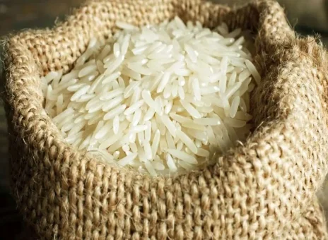 وزارت جهاد کشاورزی: فسادی در واردات برنج نداشتیم
