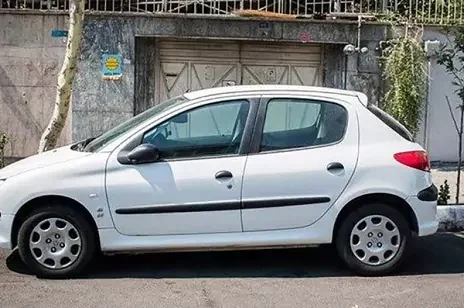 تنبیه همسایه به این روش+ عکس