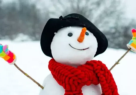 عاشقانه ترین آدم برفی که در عمرتان دیده اید!+ ویدیو