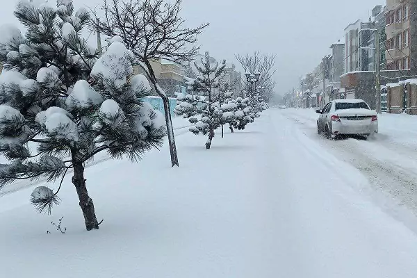 ویدیو دلربا از پایتخت بعد از بارش برف