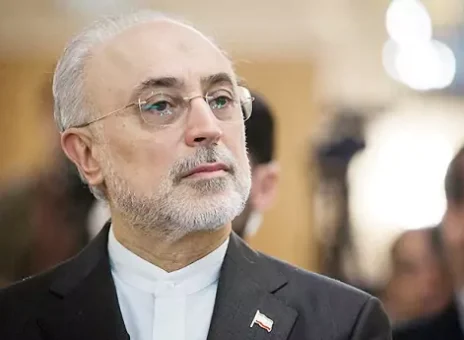 صالحی پاسخ نجف زاده را داد!+ ویدیو