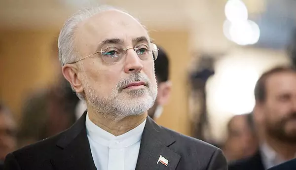 صالحی پاسخ نجف زاده را داد!+ ویدیو