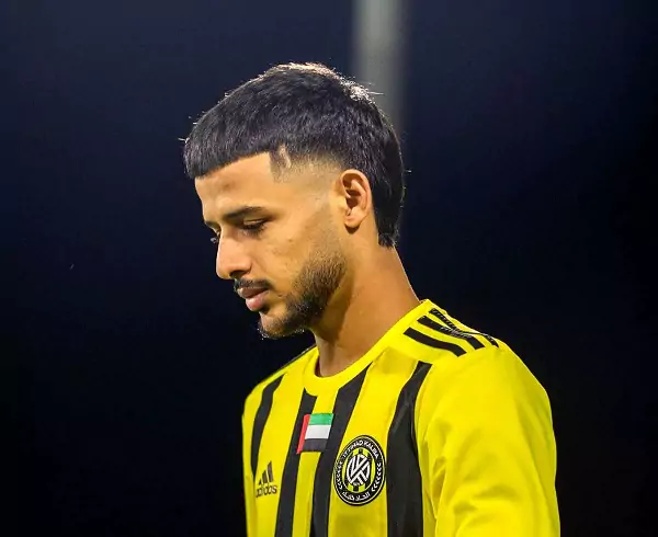 کامنت بازیگر معروف خارجی برای مهدی قائدی+ عکس