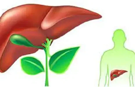 نقش کلیدی این ویتامین ها در درمان کبد چرب