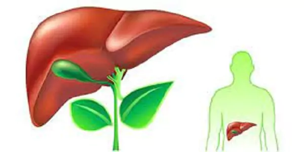 نقش کلیدی این ویتامین ها در درمان کبد چرب