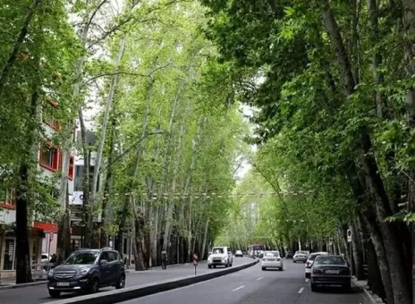 خیابان همزاد ولیعصر را دیده اید؟+ ویدیو