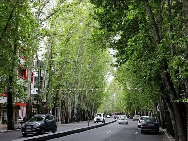 خیابان همزاد ولیعصر را دیده اید؟+ ویدیو