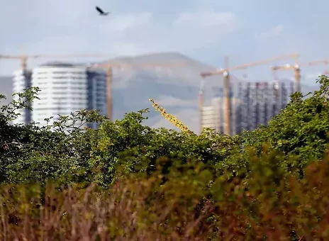 تخلف نجومی شهرسازی در شهرداری تهران