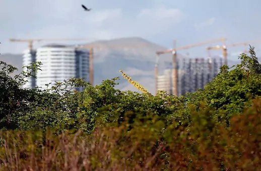 تخلف نجومی شهرسازی در شهرداری تهران