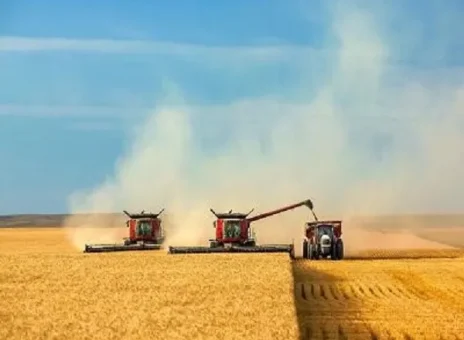 خرید تضمینی بیش از ۵.۵ میلیون تن گندم با عاملیت بانک کشاورزی