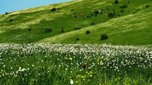 فندق لو