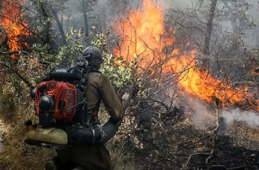 آتش سوزی جنگلی