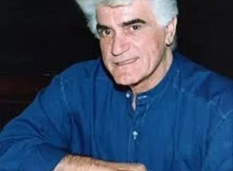 ویگن