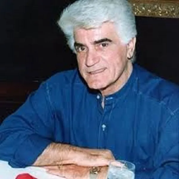 ویگن