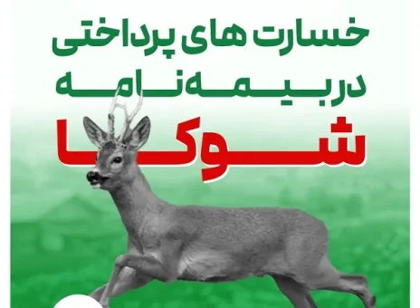 گریزی بر برخی خسارت های پرداختی در طرح شوکا بیمه البرز