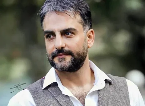 حامد کمیلی