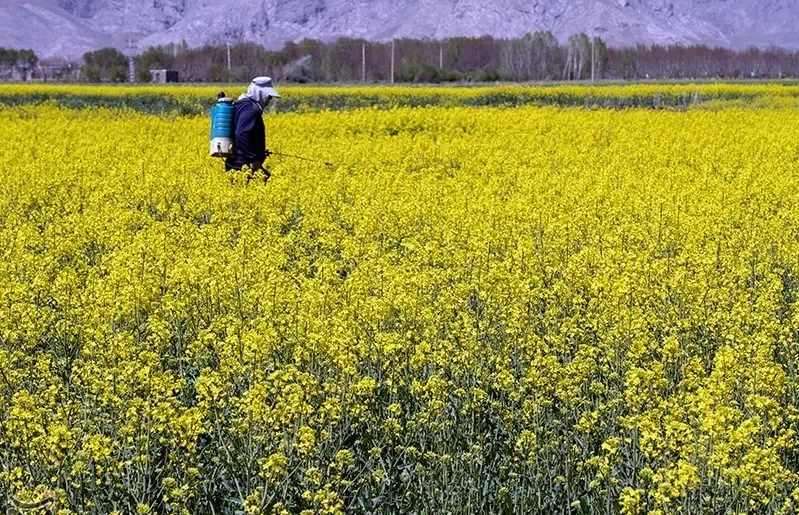 واردات؛ شیرین‌تر از تولید