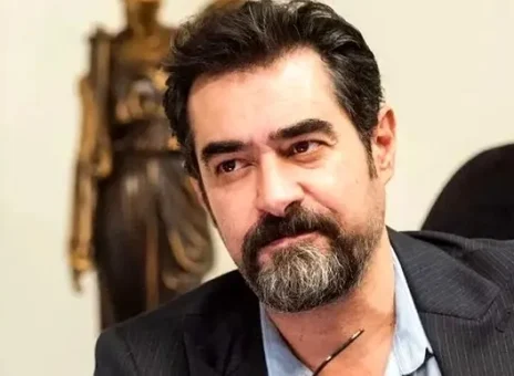 شهاب حسینی
