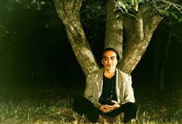 درخت گلابی