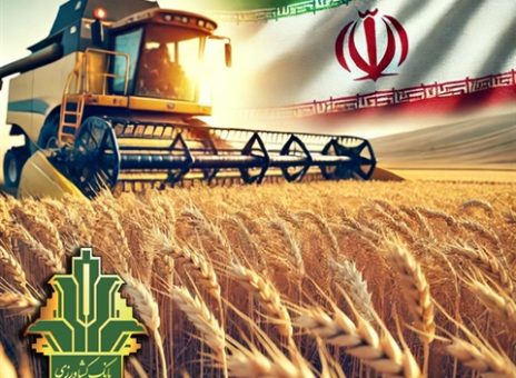 وفاق ملی برای پیشرفت اقتصادی/ خرید تضمینی ۱۲ میلیون تن گندم با عاملیت بانک کشاورزی