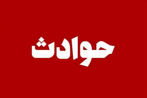 نویسنده‌ قاتل بعد از پایان آخرین کتابش دستگیر شد