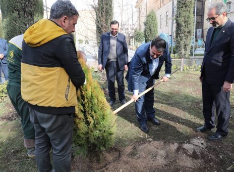 کاشت نهال توسط مدیرعامل بانک ملی ایران در روز درختکاری