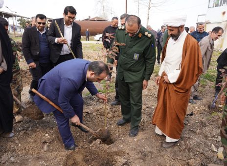 با ۳ هزار نهال به استقبال بهار می رویم؛ حمایت بانک ملی ایران از توسعه درختکاری در نکاچوب