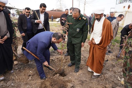 با ۳ هزار نهال به استقبال بهار می رویم؛ حمایت بانک ملی ایران از توسعه درختکاری در نکاچوب