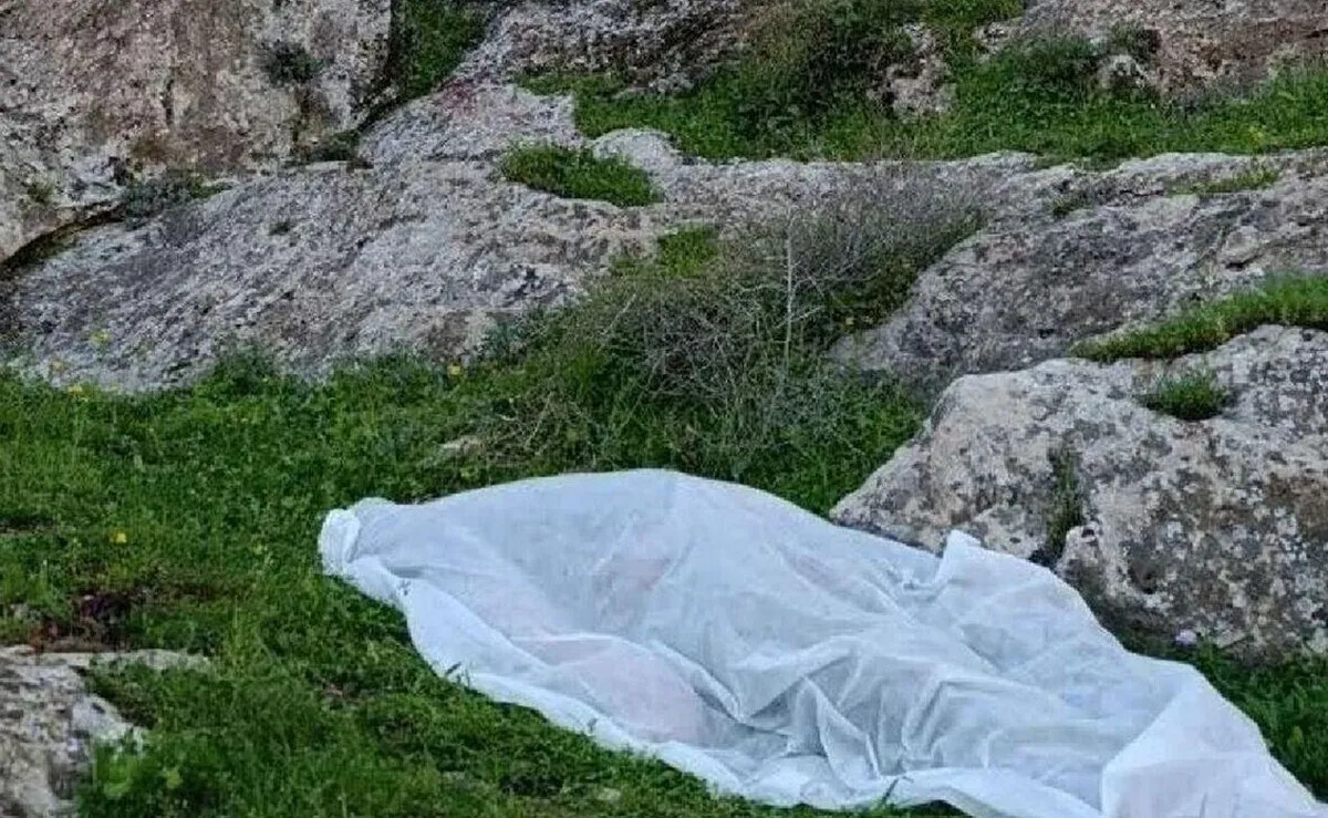 سقوط وحشتناک دو دختر نوجوان از ارتفاع ۵ متری