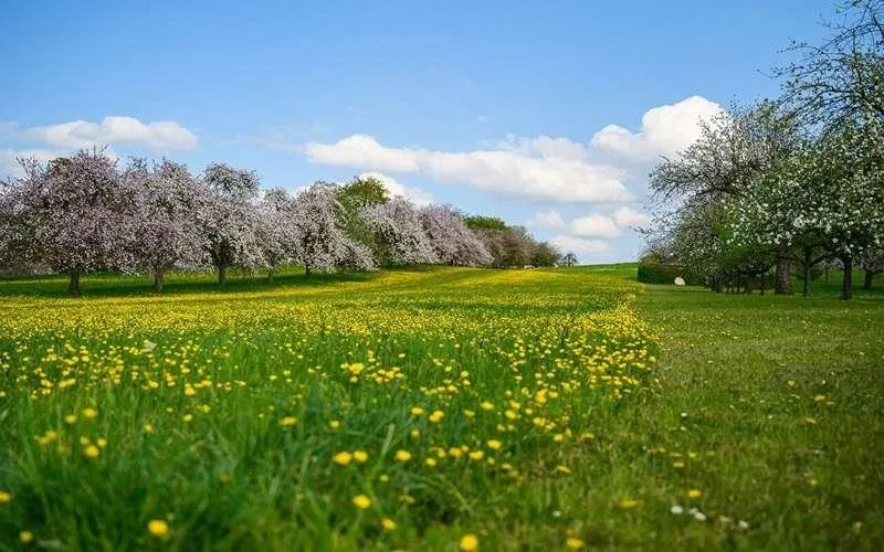 ریشه‌های نوروز از کجا می آید؟