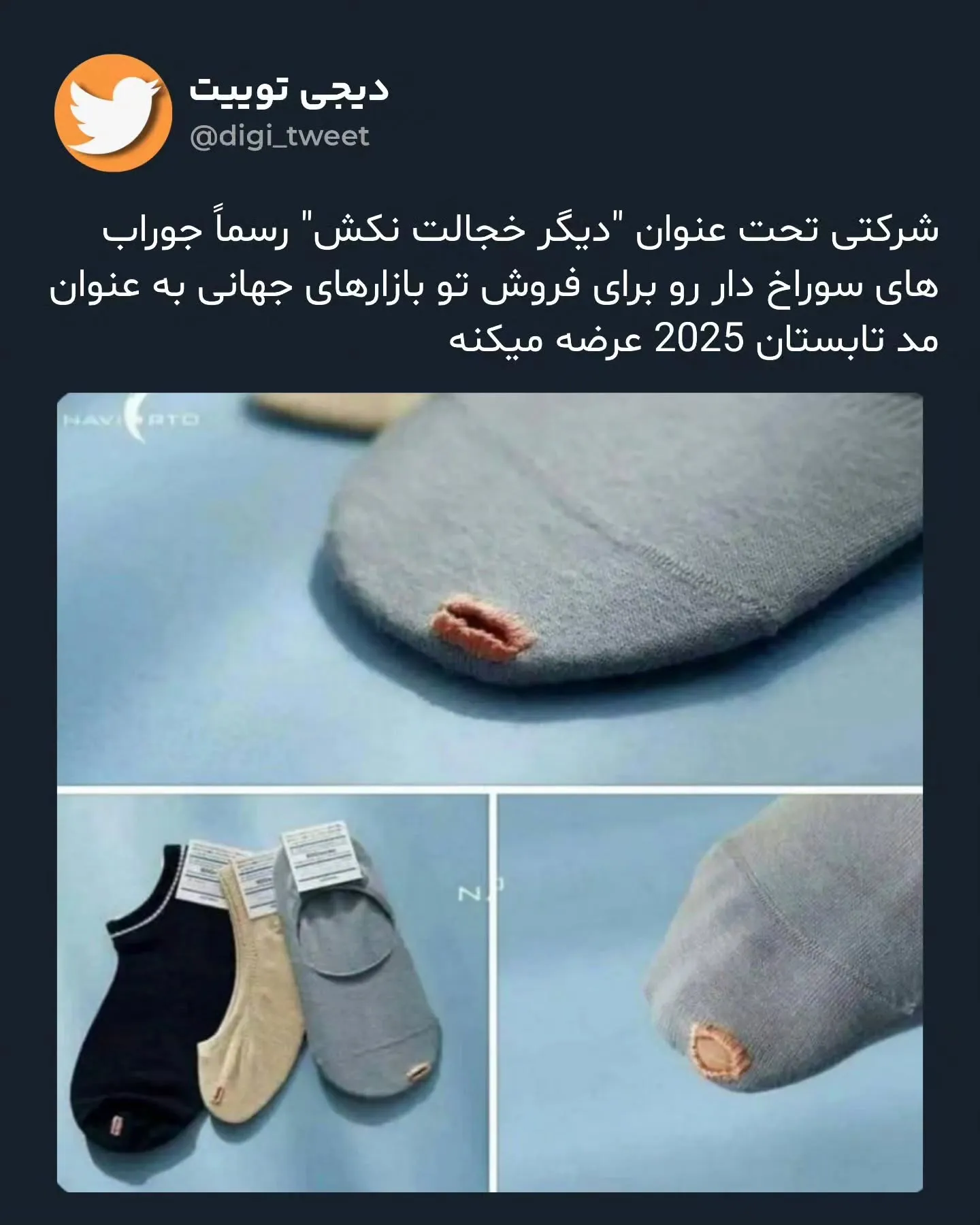 جواب‌ سوراخ برای تابستان امسال وایرال شد!
