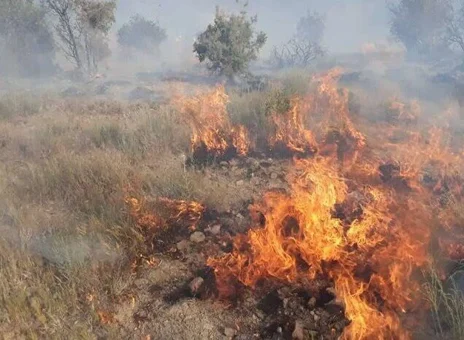 پارک ملی دز آتش گرفت
