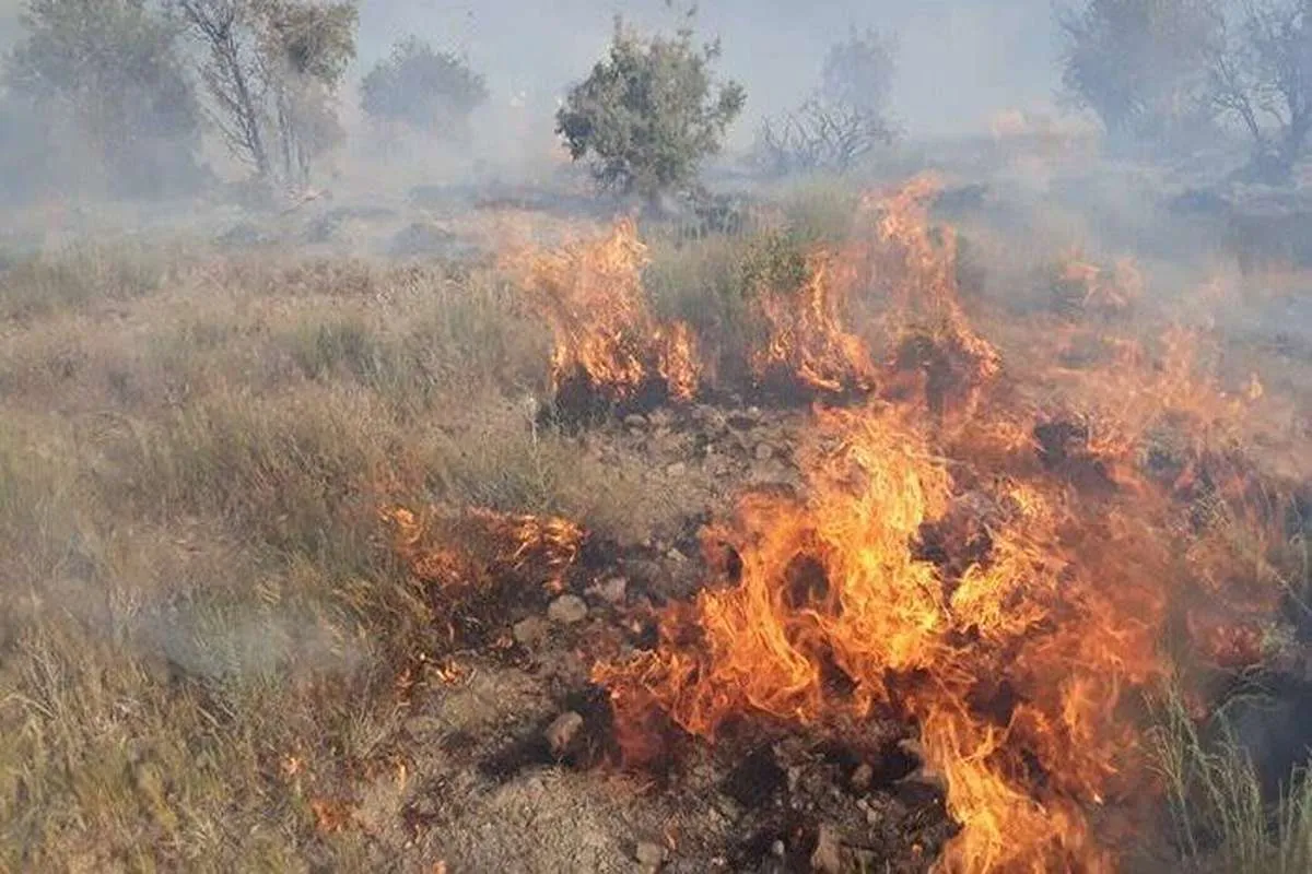 پارک ملی دز آتش گرفت