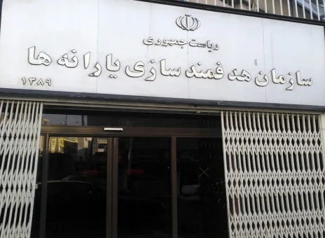 سازمان هدفمندی یارانه‌ها، حیاط خلوت دولت‌ها