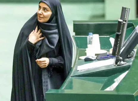 واکنش های تند به یک سفر گران‌