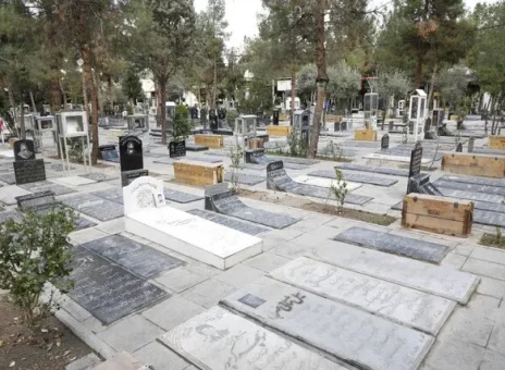 زن جیب‌بر، در بهشت زهرا دستگیر شد