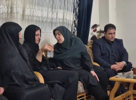 تصاویری از سخنگوی دولت در خانه الهه حسین‌نژاد