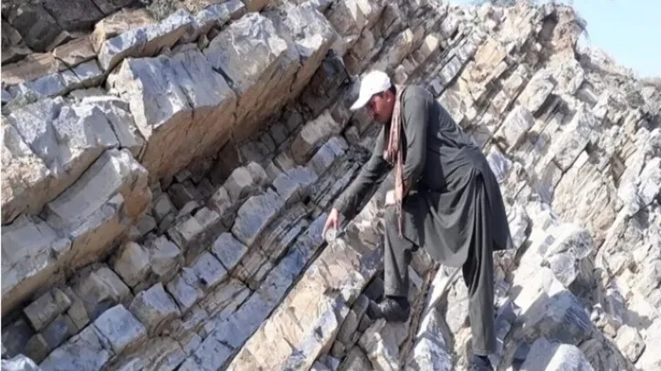 طالبان هم خام فروشی را کنار گذاشت!