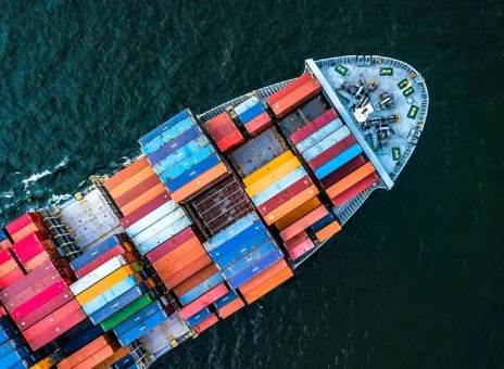 سیاست‌ ممنوعیت واردات، تحریم داخلی تجارت جهانی